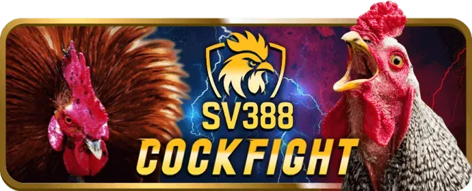 Chương trình VIP 388bet win
