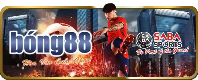 Hoàn trả hàng ngày 388bet win